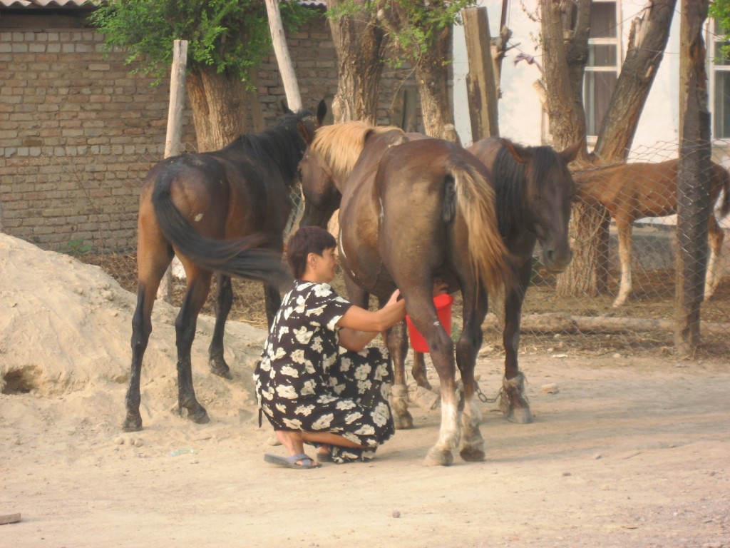 IMG_8958