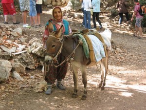 eşek 2
